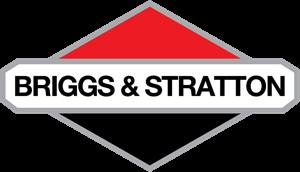 Briggs Stratton