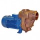 GMP Bronze Self Priming Surface Mounted Electric Pumps Products Link